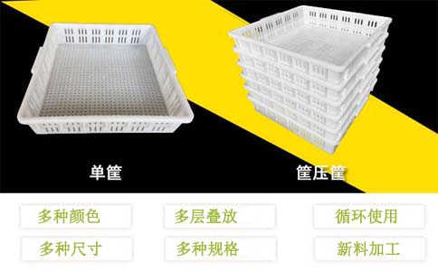 阜新塑料盘厂家,塑料方盘单冻器-沈阳兴隆瑞